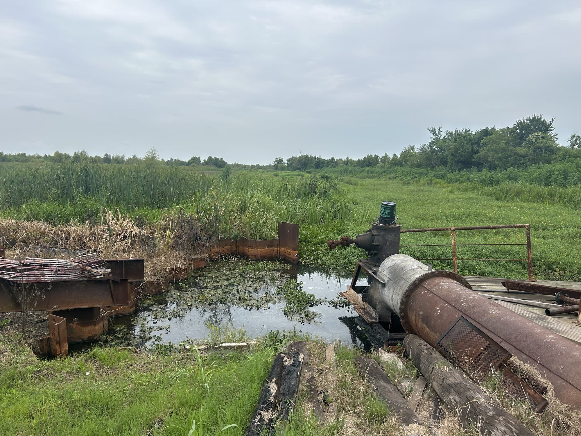 Louisiana marsh and canal edge with heavy vegetation growth
